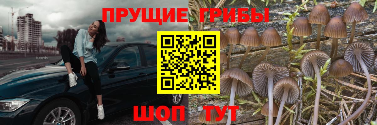 Галлюциногенные грибы MAGIC MUSHROOMS Азнакаево